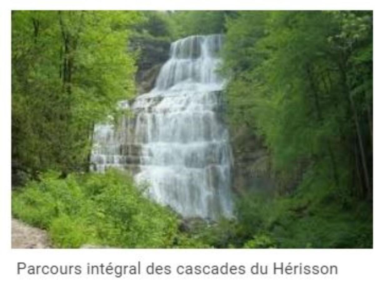 Bed and Breakfast Les Bergeronnettes Trenal Exterior foto